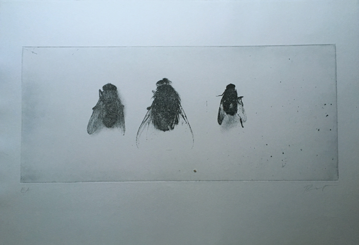 Klaus Rissenpart Kunst