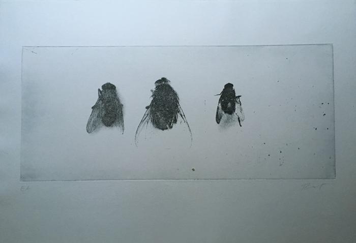 Klaus Rissenpart Kunst